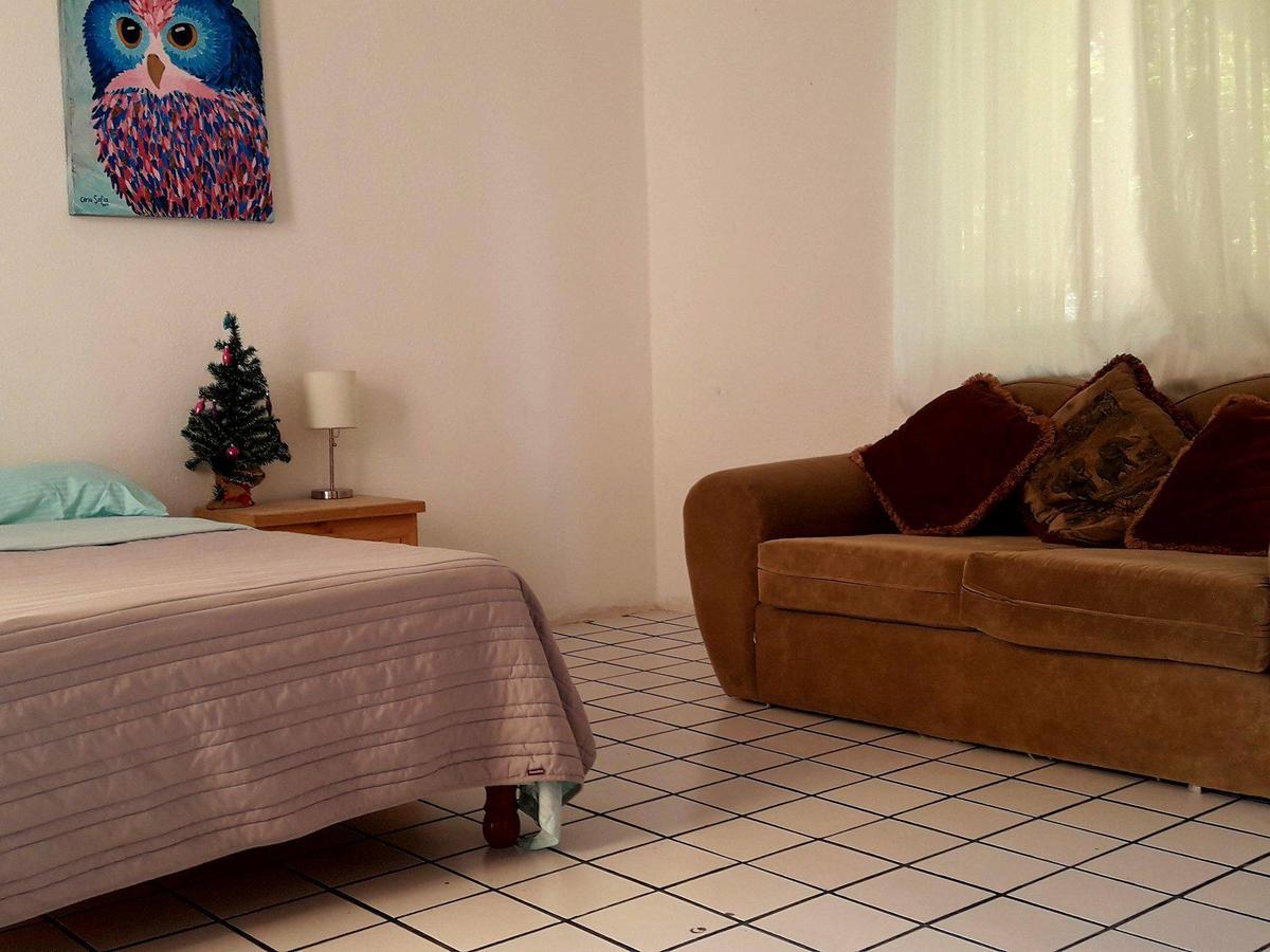 Taiyari Hostal Monterrey Exteriér fotografie