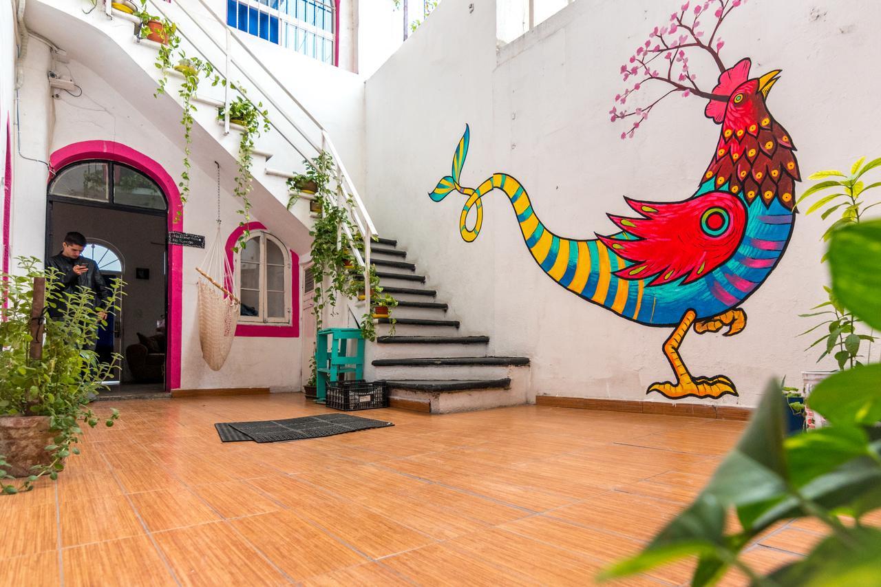 Taiyari Hostal Monterrey Exteriér fotografie