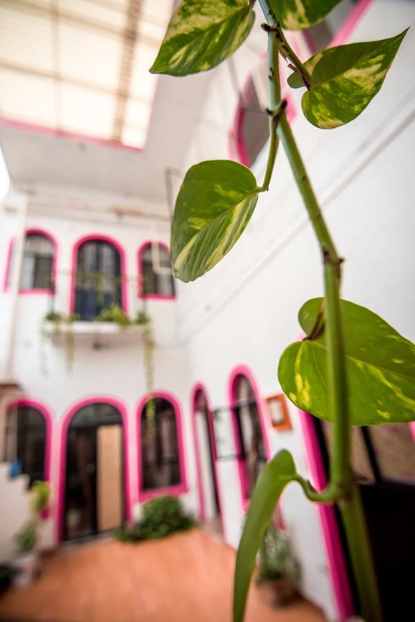 Taiyari Hostal Monterrey Exteriér fotografie